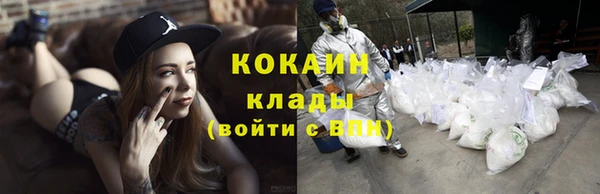 крисы Кущёвская